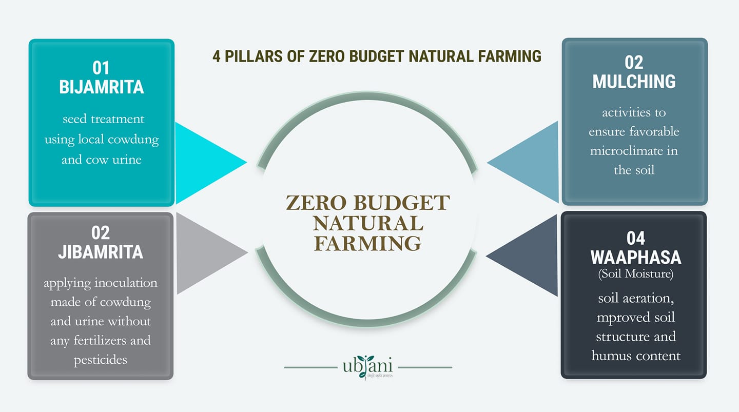 Pillars of zero budget natural farming