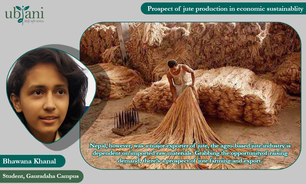 Prospect of Jute Production in Economic Sustainability - उब्जनी