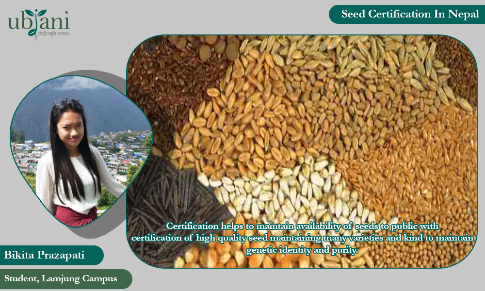 Seed Certification in Nepal