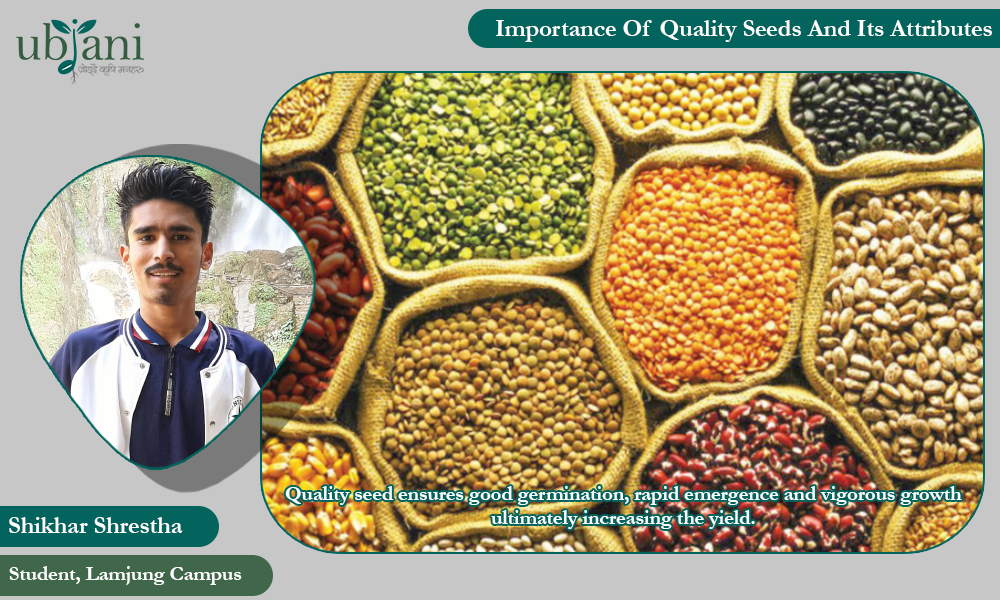 Importance of Quality Seeds and its Attributes